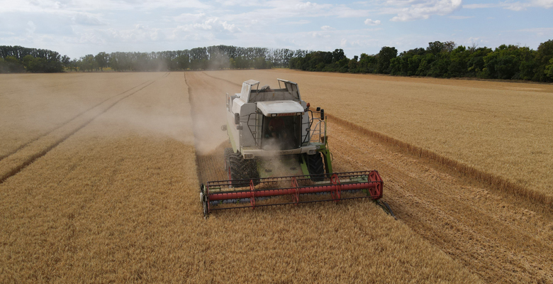 Fodor Családi Gazdaság